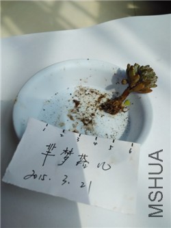14��  ����  15��