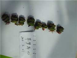 7��   4��һͷ  Ǯ�����죿