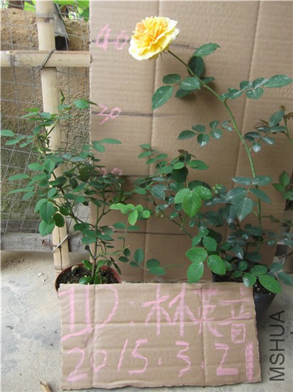 DSCF0639.JPG