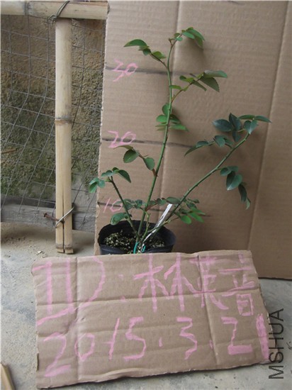 DSCF0641.JPG