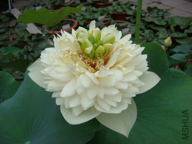 DSC02580.JPG