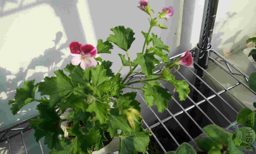 20150314_153353_meitu_2.jpg