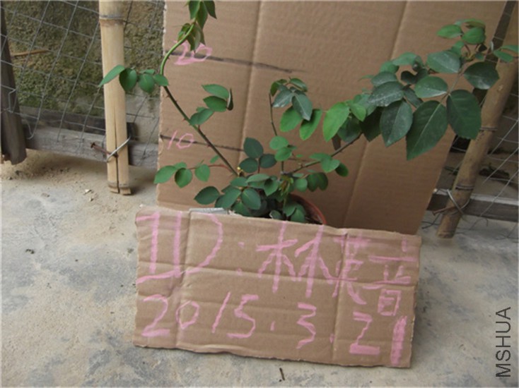 DSCF0636.JPG