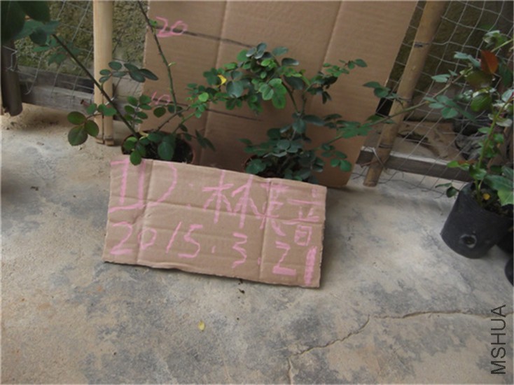 DSCF0635.JPG