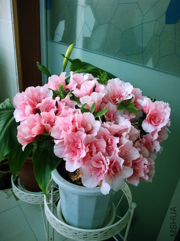 MediaLib_Camera Roll_WP_20140404_003_����.jpg