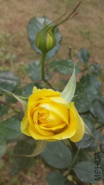 20150214_100059.jpg