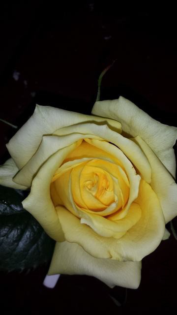 20150302_194502.jpg