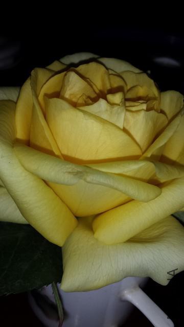 20150304_193805.jpg