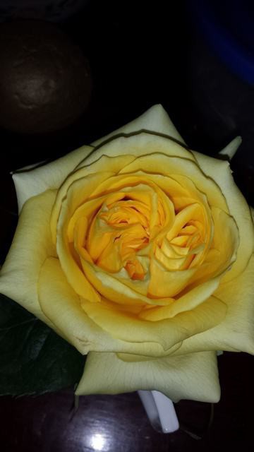 20150304_193658.jpg
