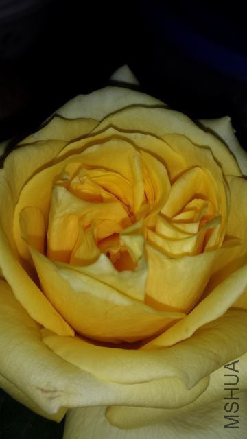 20150304_193838.jpg