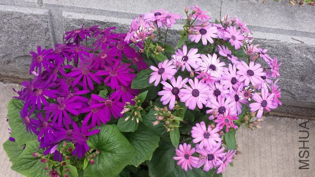 20150308_084537.jpg