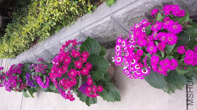 20150308_084611.jpg