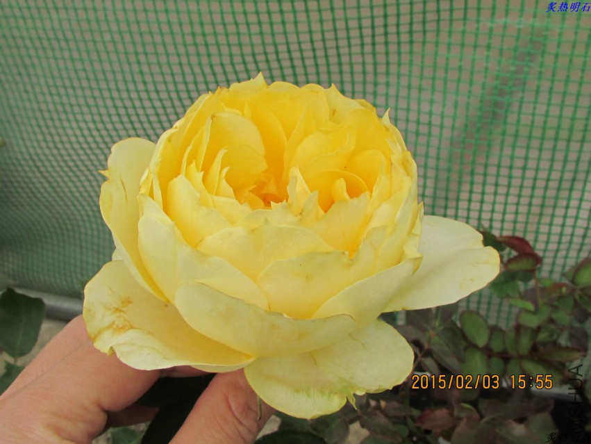 IMG_6544_nEO_IMG.jpg