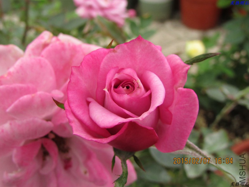 IMG_6767_nEO_IMG.jpg