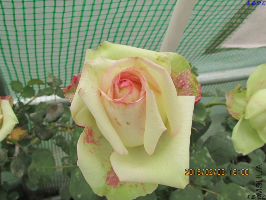 IMG_6579_nEO_IMG.jpg