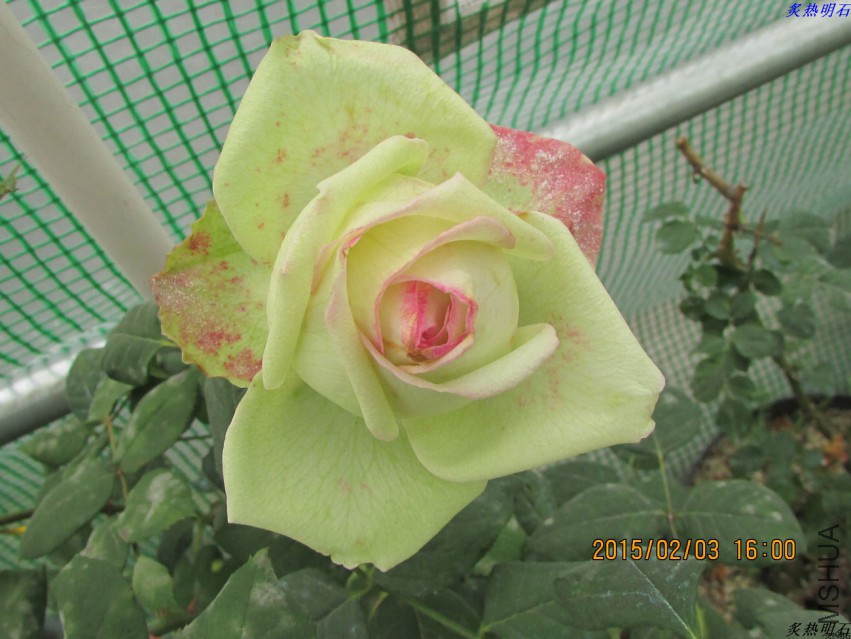 IMG_6580_nEO_IMG.jpg