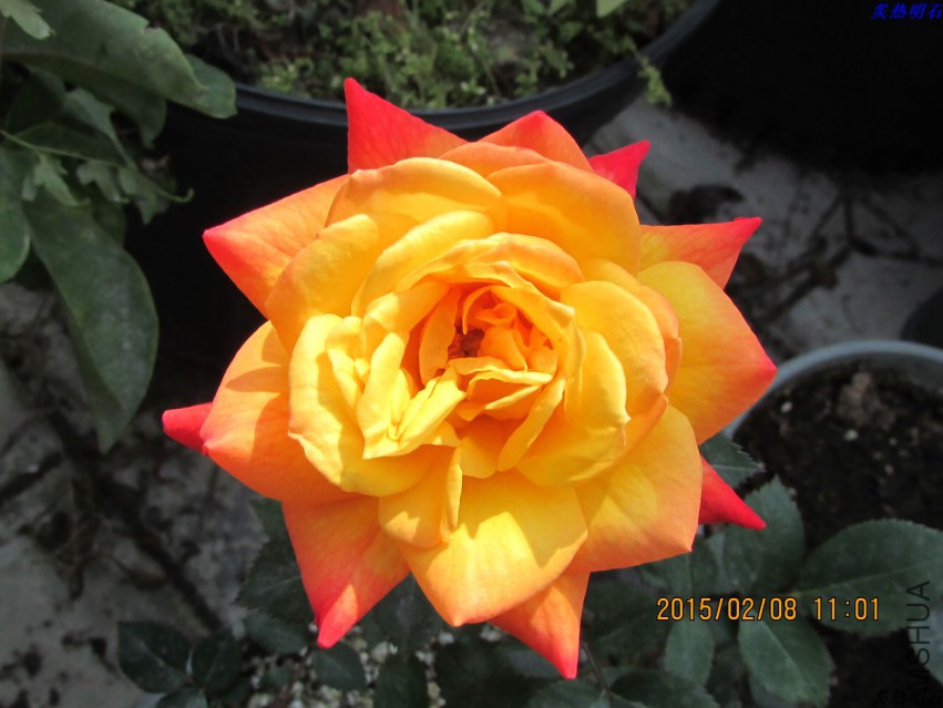 IMG_6896_nEO_IMG.jpg