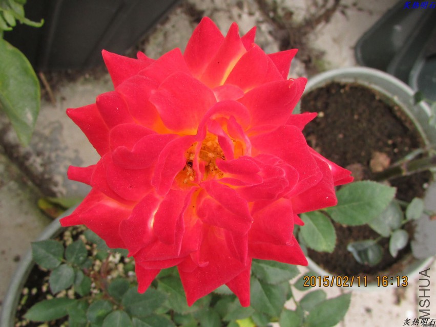 IMG_6940_nEO_IMG.jpg