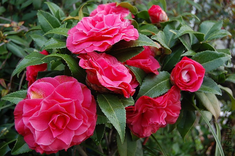 DSC_01450145.JPG