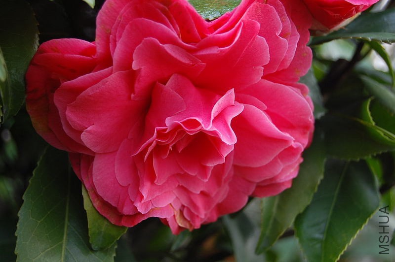 DSC_01440144.JPG