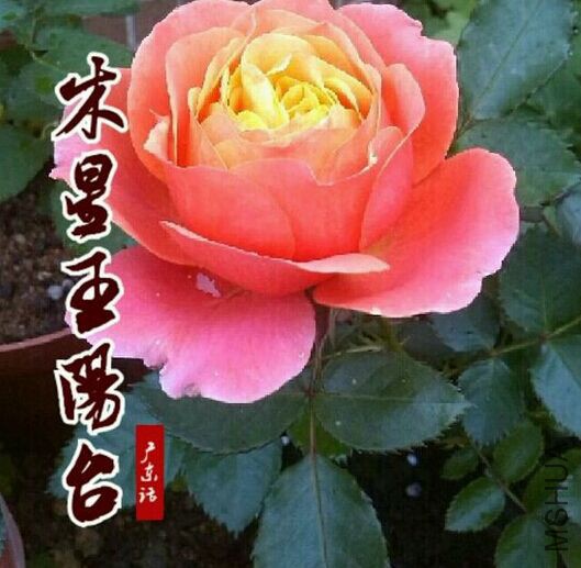 QQͼƬ20150322222556.jpg