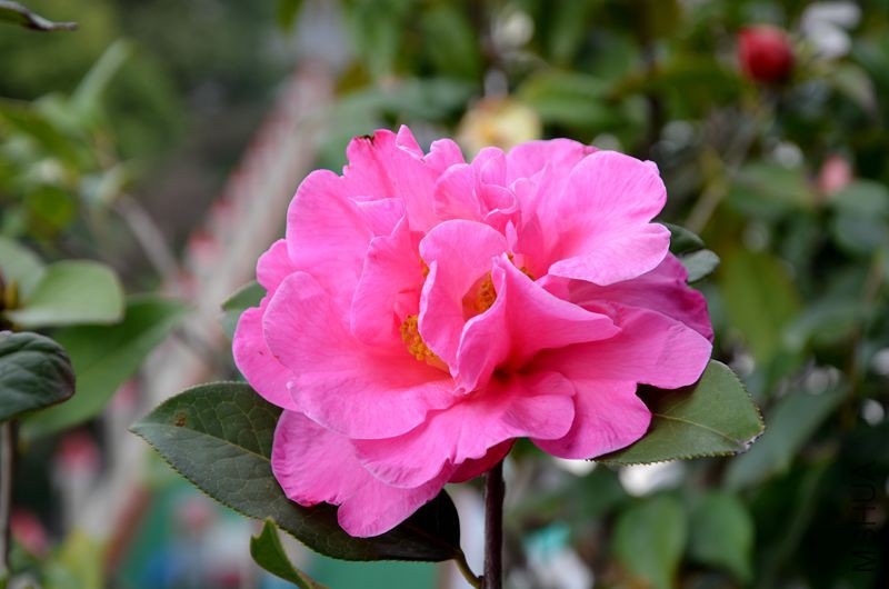DSC_3152.JPG