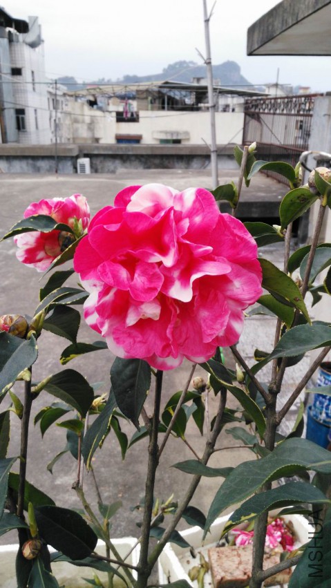 ������С IMG_20150322_175339.jpg