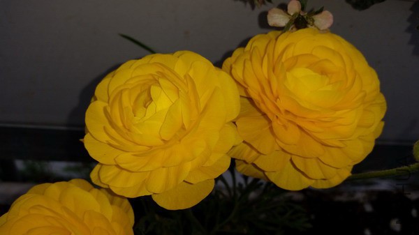 20150322_101351.jpg