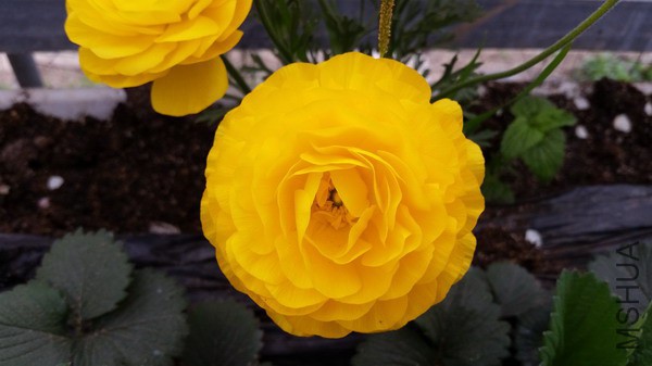 20150322_101343.jpg