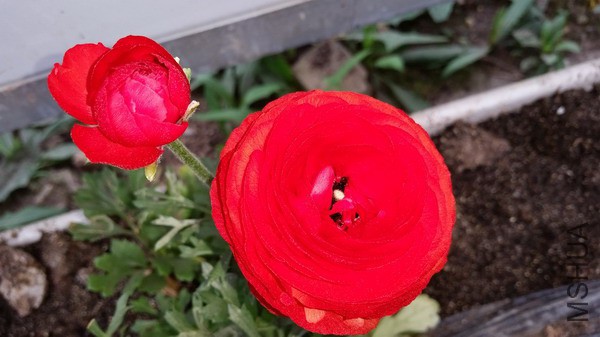 20150322_101459.jpg