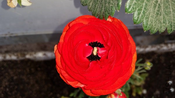 20150322_101439.jpg