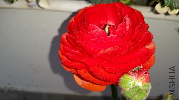 20150322_101444.jpg