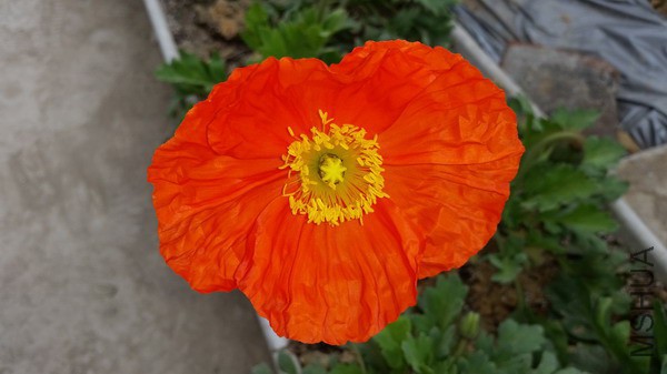 20150322_102202.jpg