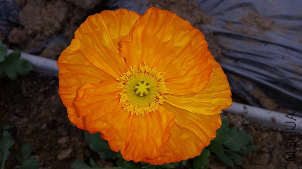 20150322_102216.jpg