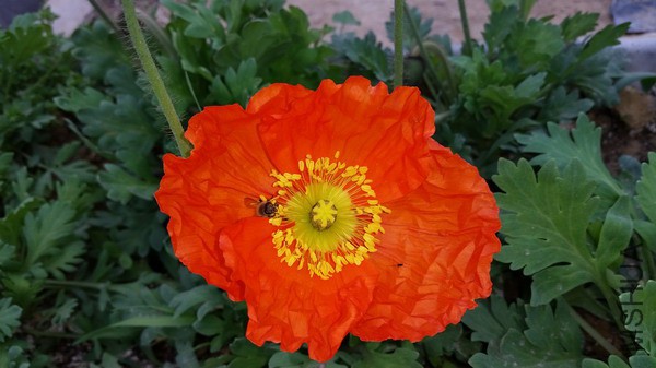 20150322_102602.jpg