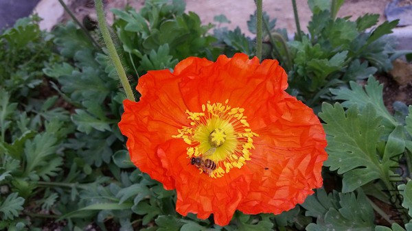 20150322_102606.jpg