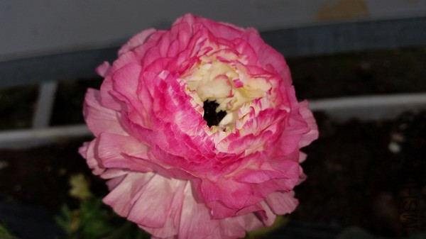 20150322_104950.jpg
