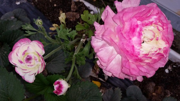 20150322_105013.jpg