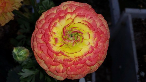 20150322_105021.jpg