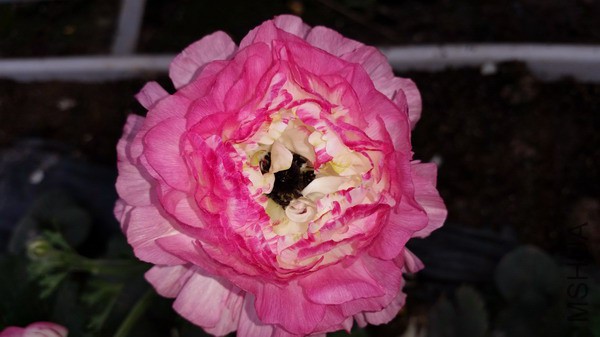 20150322_104954.jpg