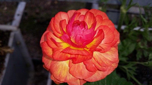 20150322_105033.jpg