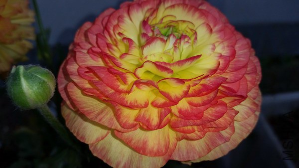 20150322_105027.jpg