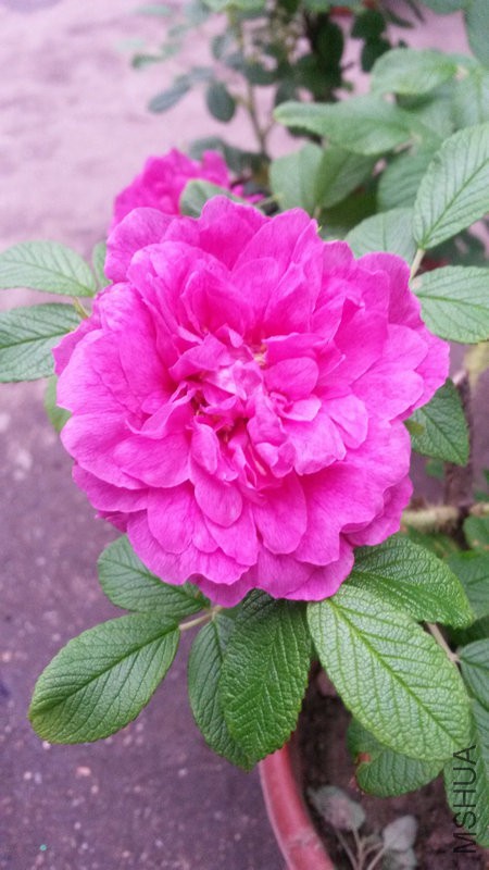 20150304_142122.jpg