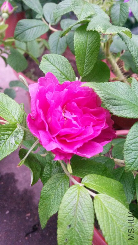 20150304_142136.jpg