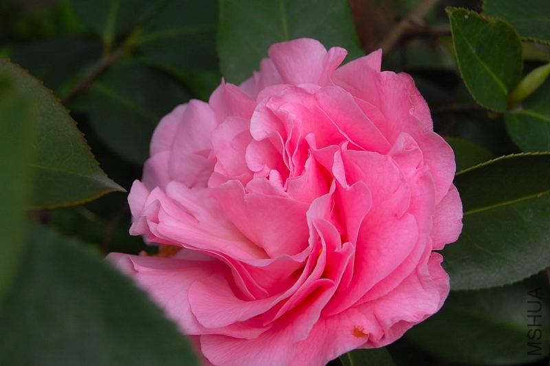 DSC_00920092.JPG