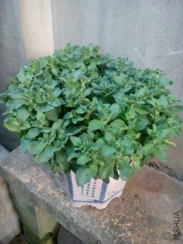 QQͼƬ20150324083607.jpg
