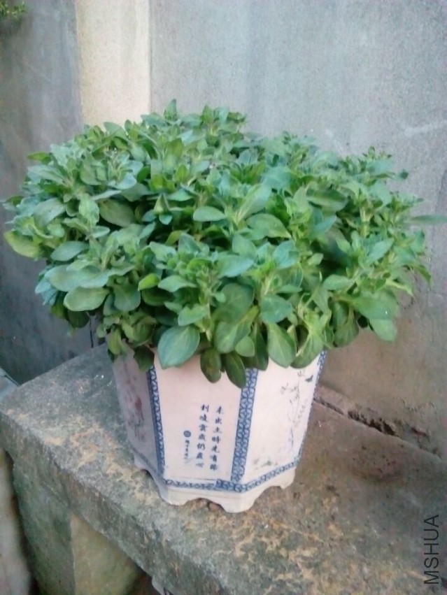 QQͼƬ20150324083613.jpg