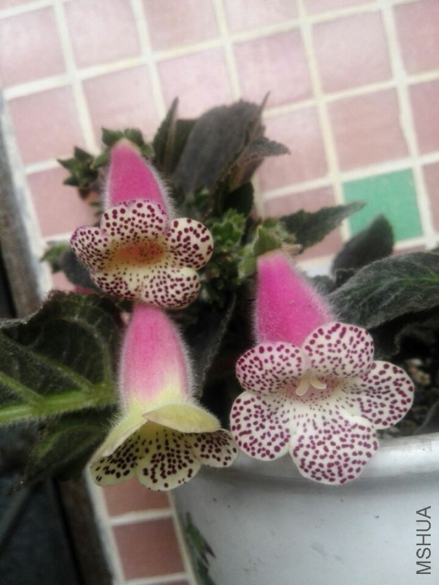 QQͼƬ20150324112642.jpg