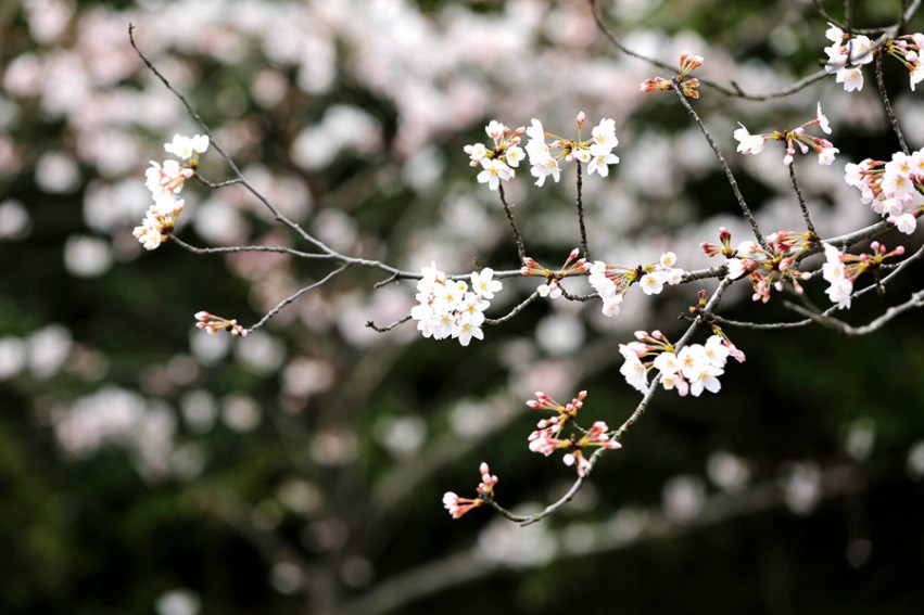 ӣ������11-6_����.jpg