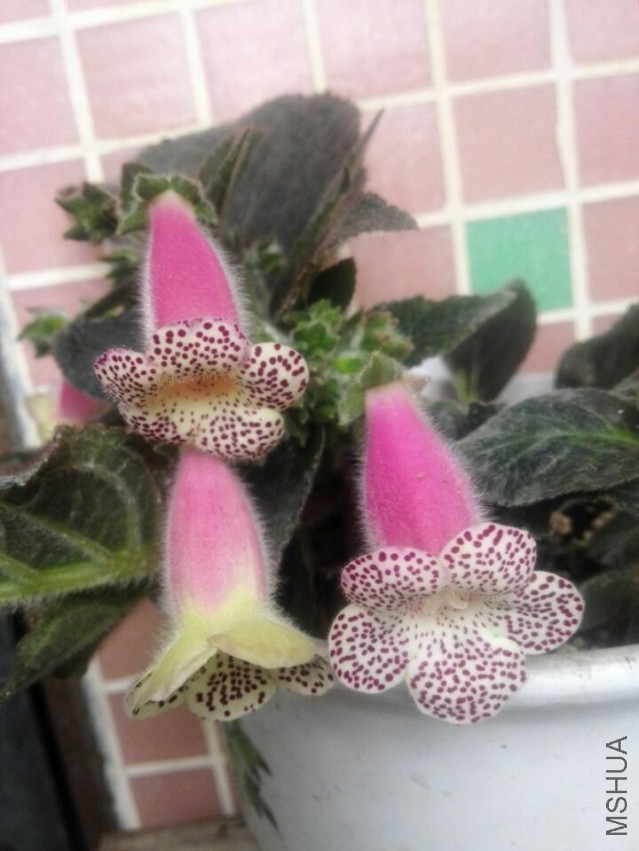 QQͼƬ20150324112654.jpg